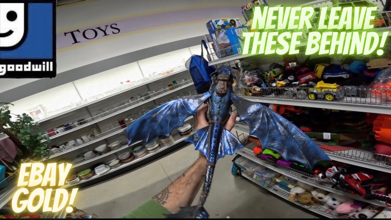 Thrift With Me At the Worlds Best Thrift Stores!