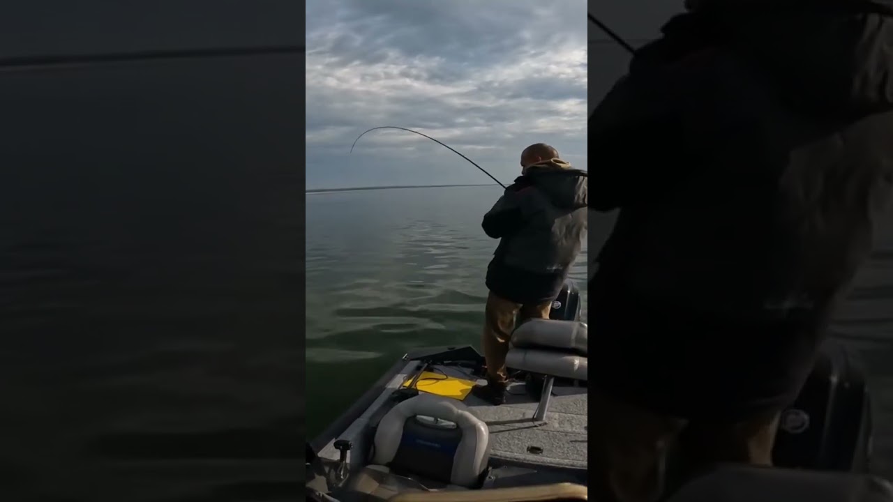 Monster Lurking in the River? See What We Found! Fishing Day