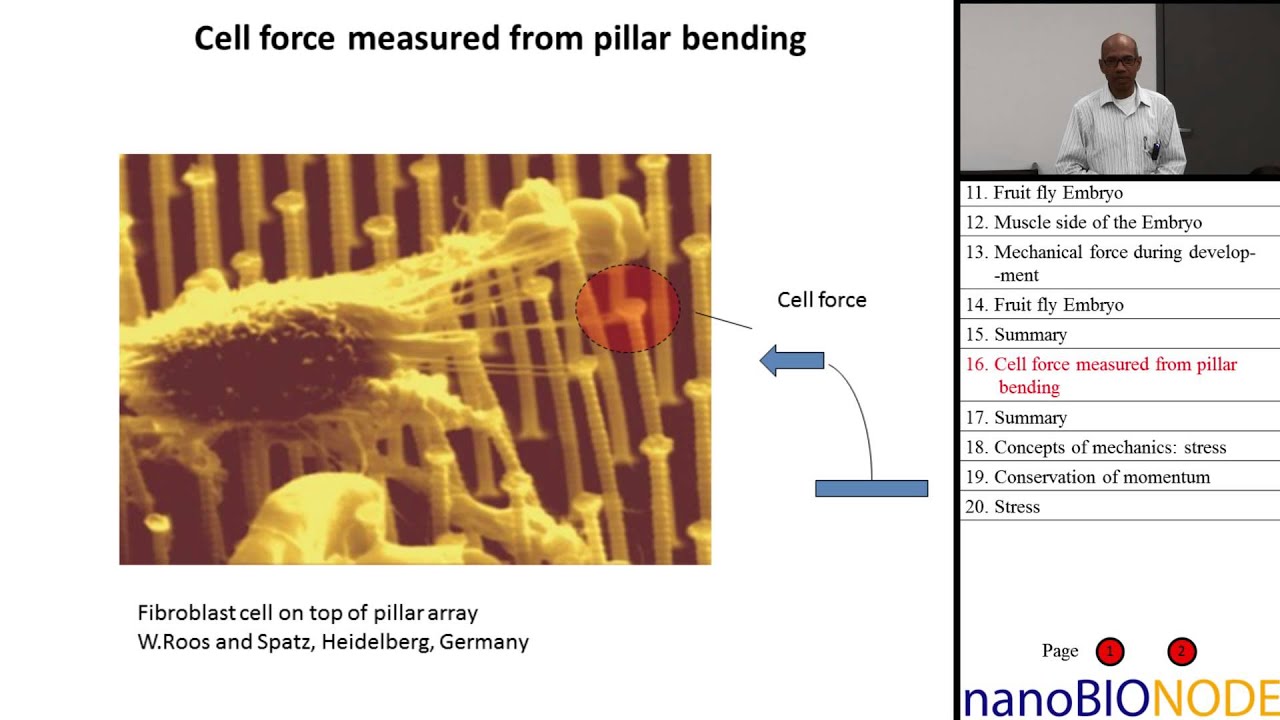 Introduction to Mechanics in Mechanobiology, Part I (Taher Saif)