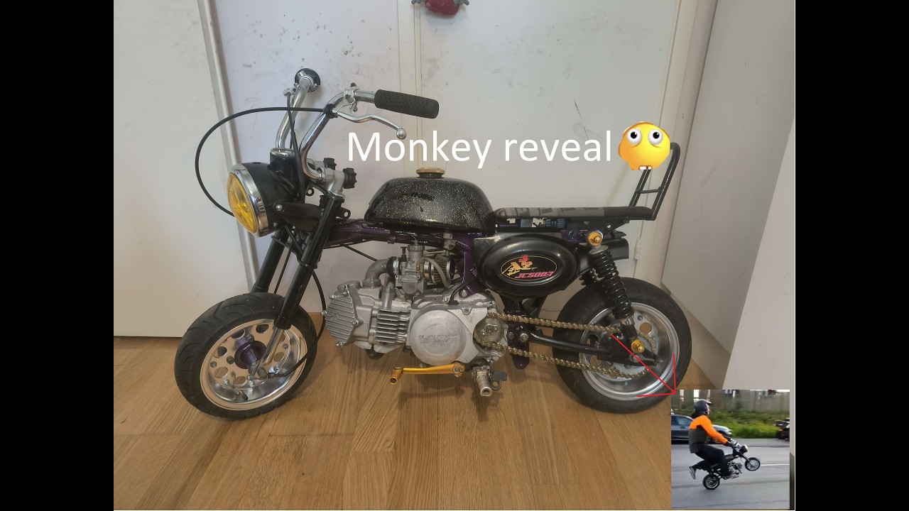 150klx monkey season starter