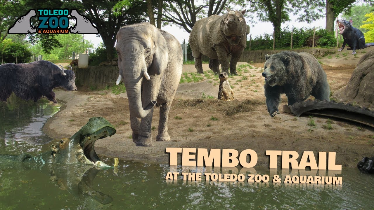 Tembo Trail at the Toledo Zoo & Aquarium | Exhibit Tours Ep. 50