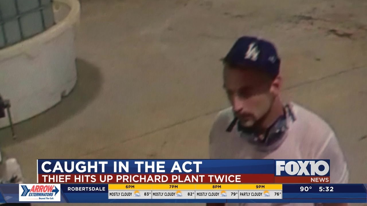 Caught in the Act: Man takes lawnmower from Prichard water plant