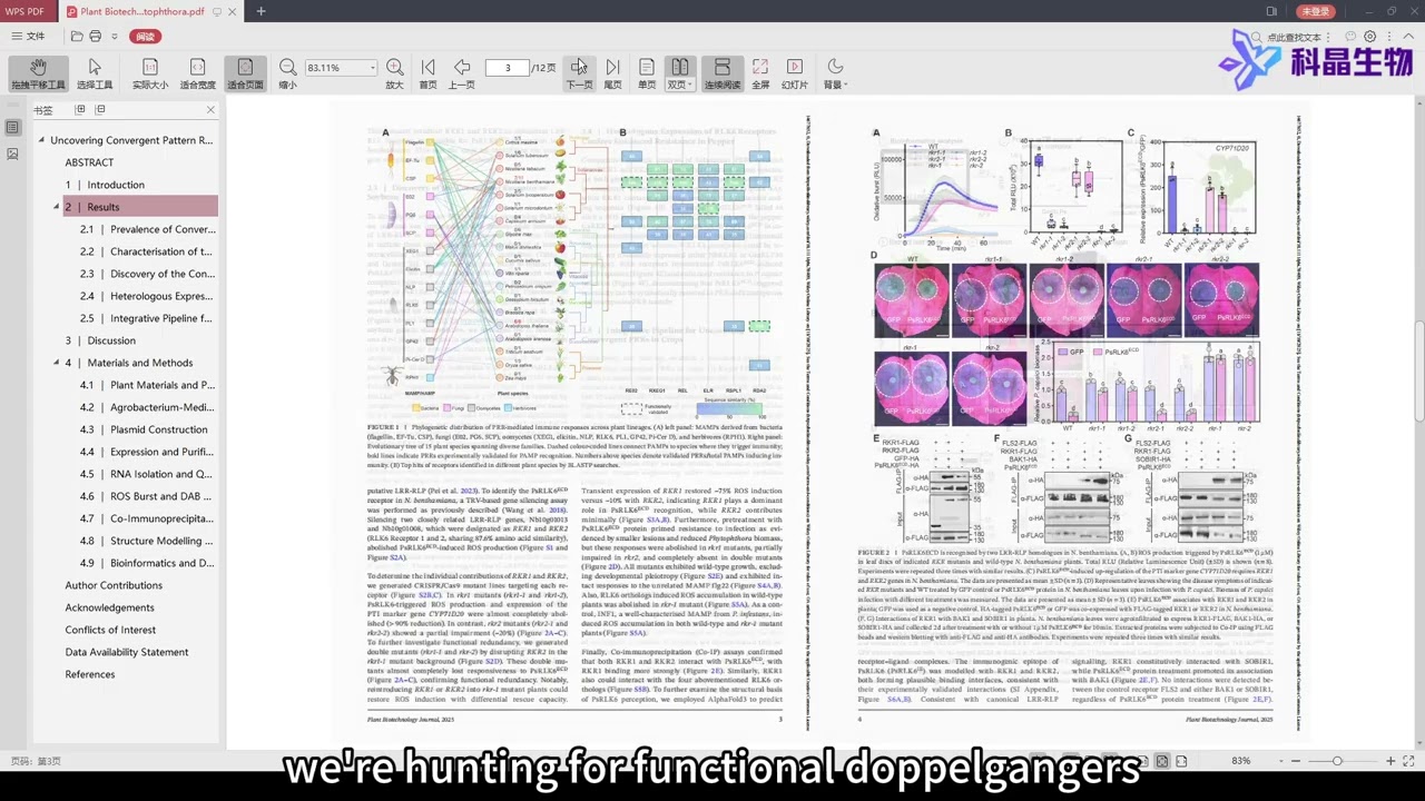 KJFold x Plant Biology Journal: Redefining Protein Design with AI