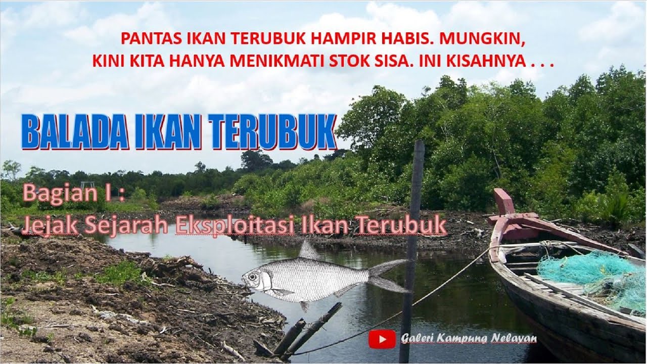 BALADA IKAN TERUBUK I: Jejak Eksploitasi Ikan Terubuk di Masa Lampau #Galeri Alam Kita