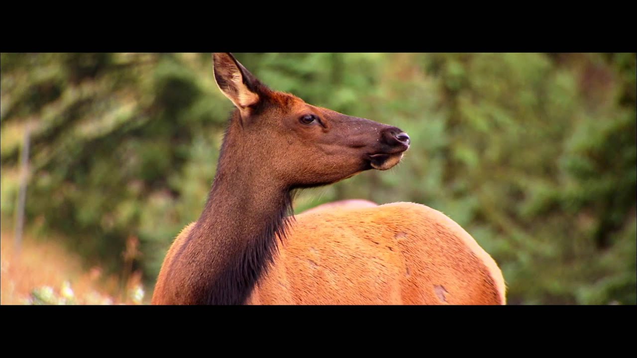 Destinations Planet Cruise | Planet Cruise