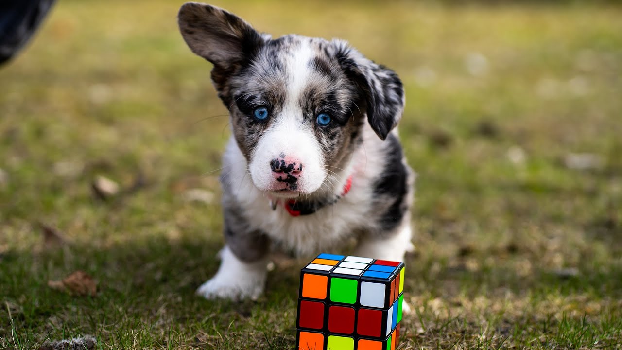 POZNAJCIE RUBIK!