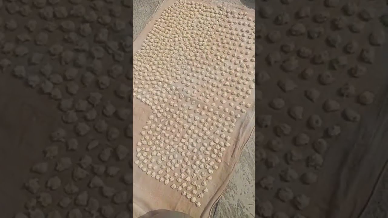 চাল কুমড়ার বড়ি দেওয়া হচ্ছে 😱