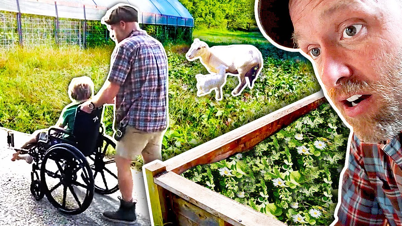 Gardening with Sheep | Planting Cover Crop + Jonah’s Pain-Free