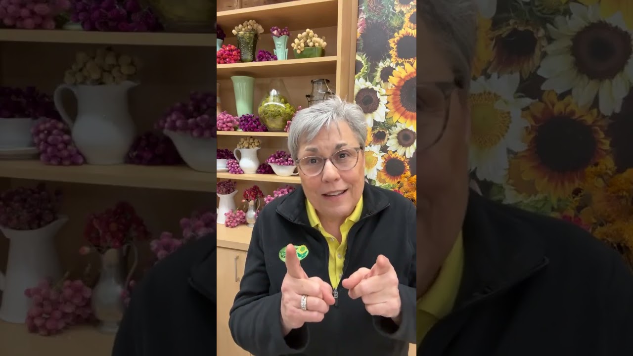 Ask a Flower Farmer! Answering your questions and more