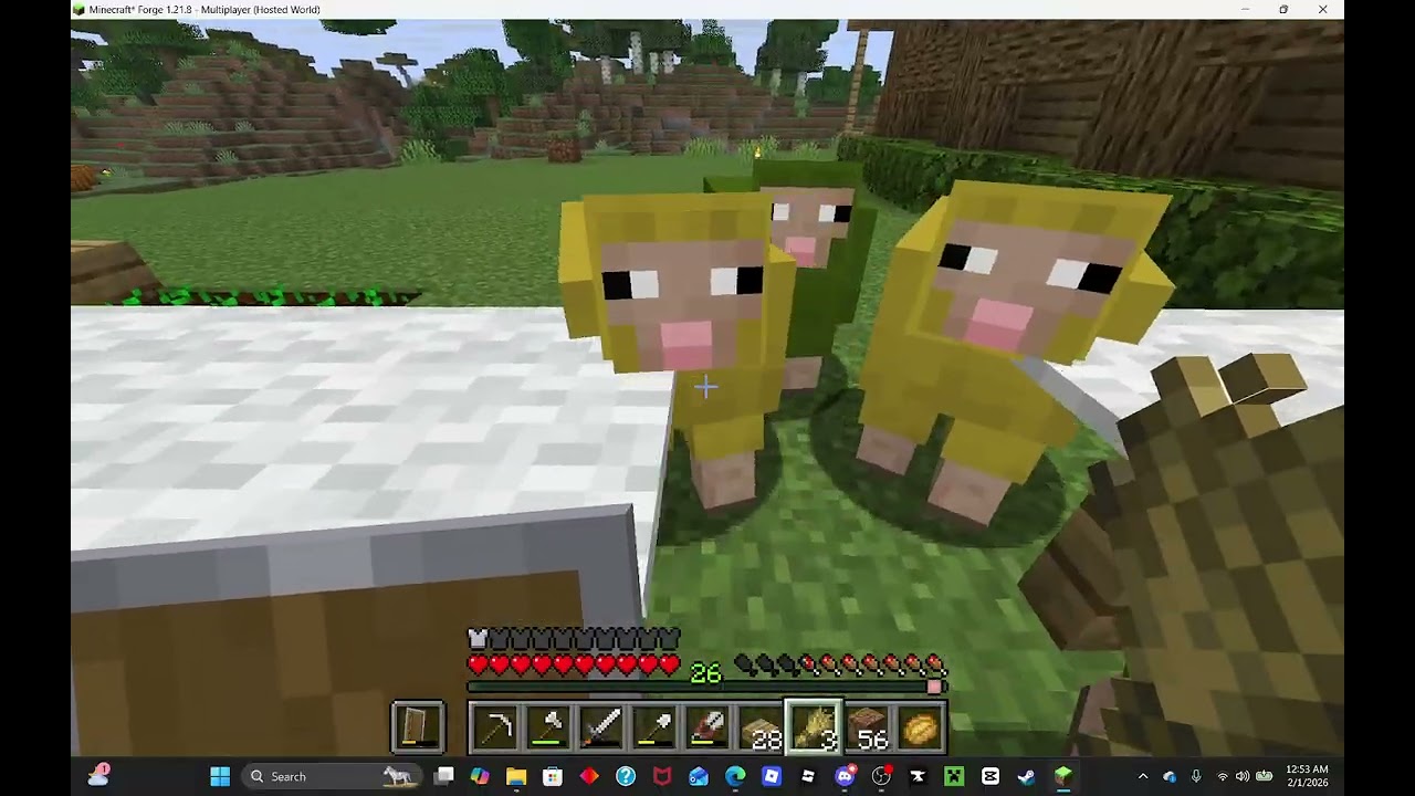 DAY 18 OF MINECRAFT: IN THE FIELDS