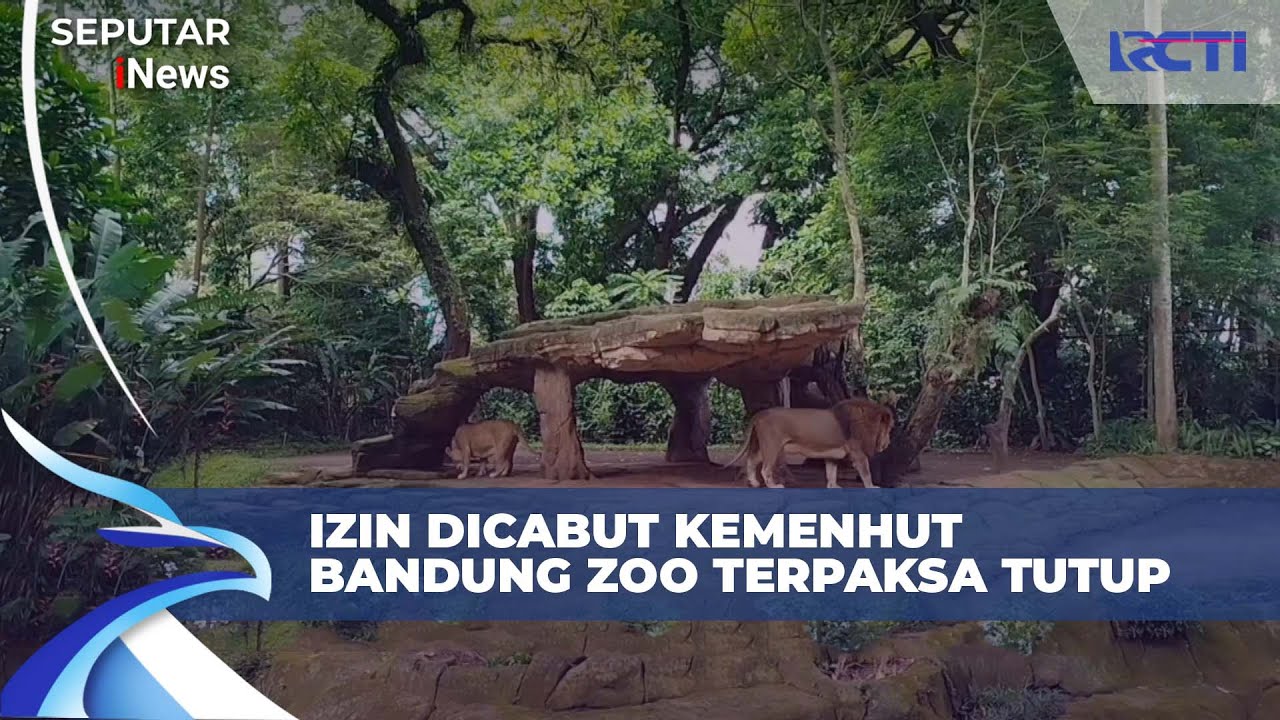 Bandung Zoo Resmi Ditutup Usai Izin Pengelola Dicabut Kemenhut | SIS 6/2