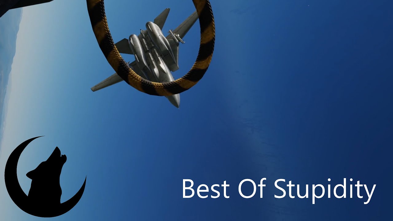 Best of Stupidity - 10k Subscriber Special