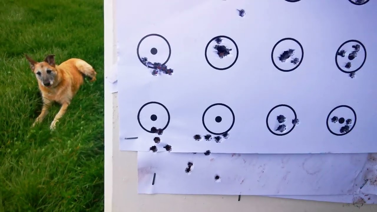 geco semi auto anschutz 1710 cheap ammo shoot out