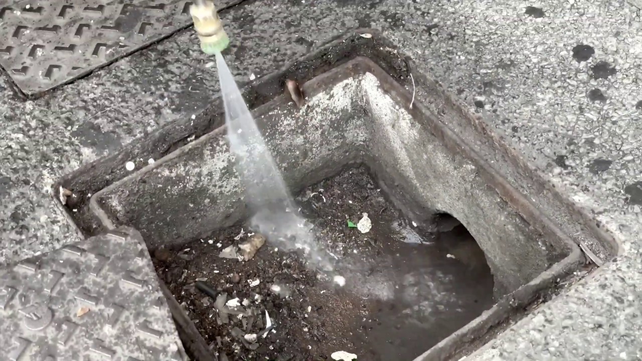 Traitement cafards dans les égouts | Désinsectisation des réseaux d’eaux usées