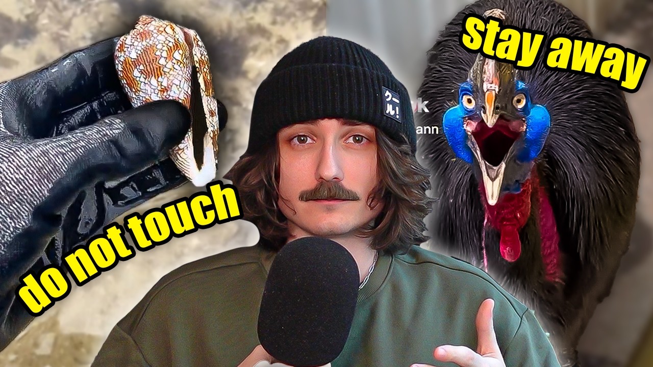 Seriously Please Stop Touching Wild Animals