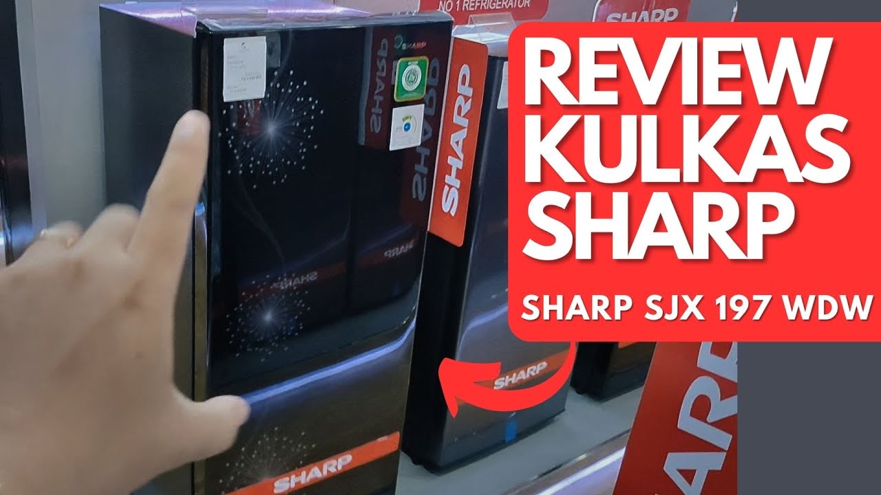 REVIEW KULKAS SHARP 1 PINTU 100 LITER || SHARP SJX197WDW