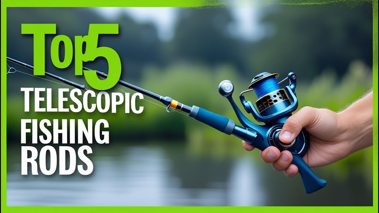 TOP 10 Best Budget Telescopic FISHING ROD & REEL for 2025 | Review