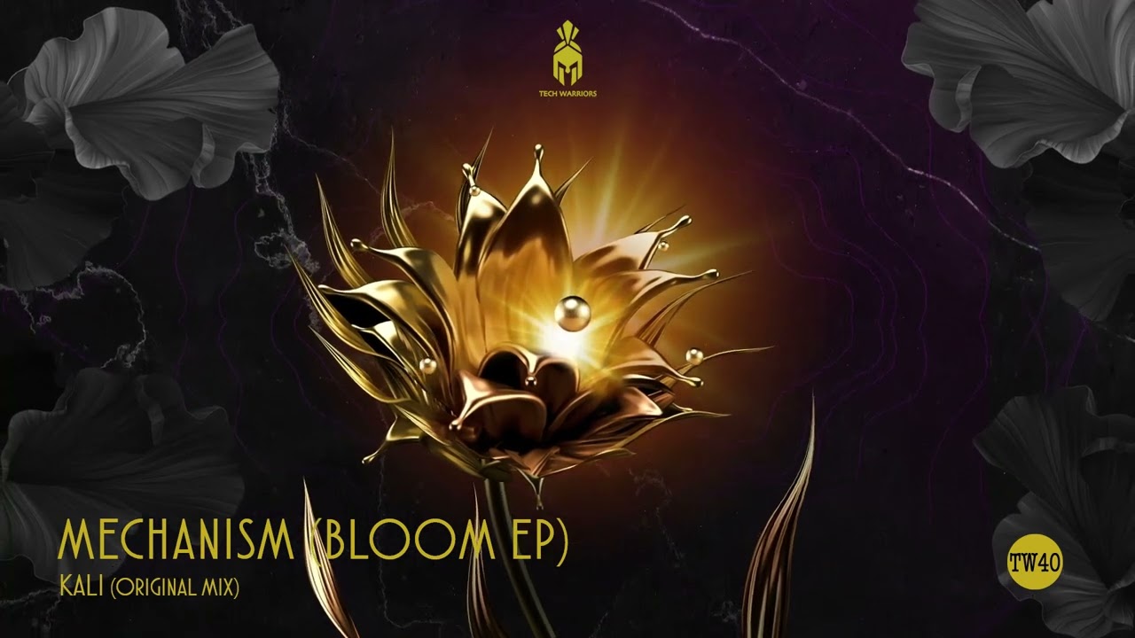 Mechanism - Kali (Original Mix) | HYPE INDIE DANCE BEATPORT