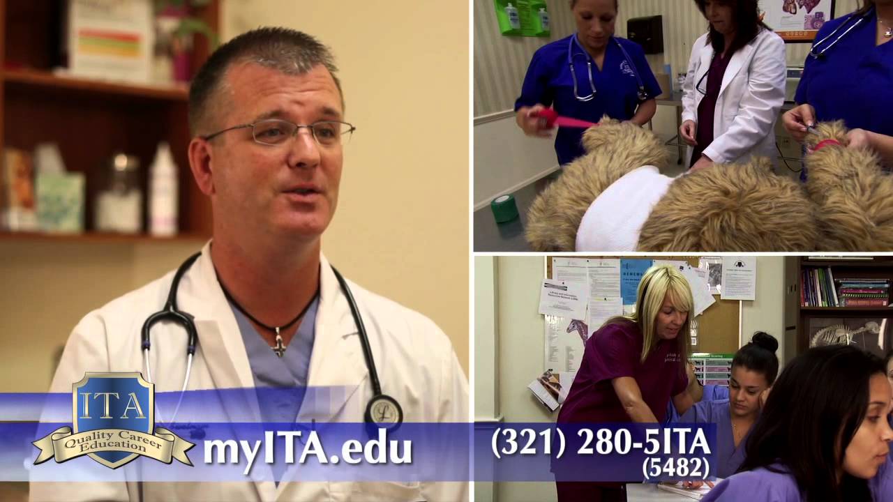 Vet Tech Schools and Programs | Institute of Technical Arts | Veterinary Technology Programs