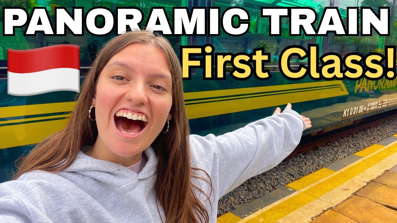 We LOVE Indonesia’s PANORAMIC Train 🇮🇩 Bandung to Yogyakarta Argo Wilis