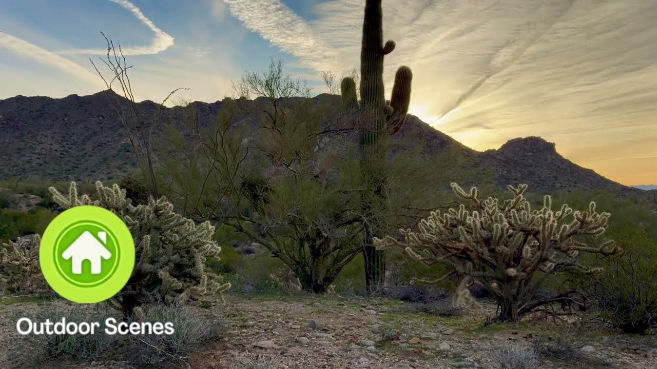 Sonoran Desert Sunrise – Relaxing Sights and Sounds