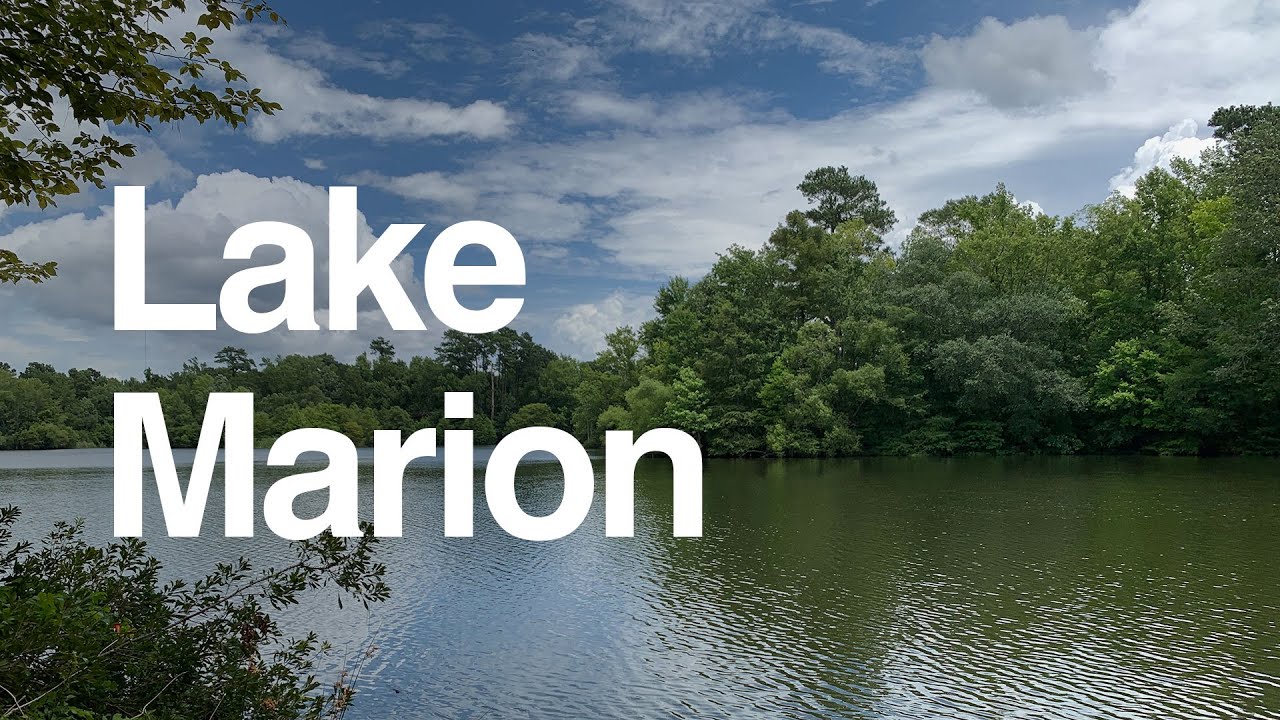 Spotlight on Lake Marion: Visitors guide, boating, fishing, camping, hunting, history and more!