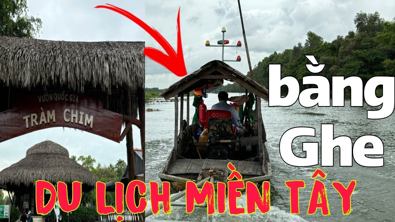DU LỊCH TAM NÔNG | VƯỜN QUỐC GIA TRÀM CHIM ĐỒNG THÁP | NGỒI GHE NGẮM CẢNH 8km