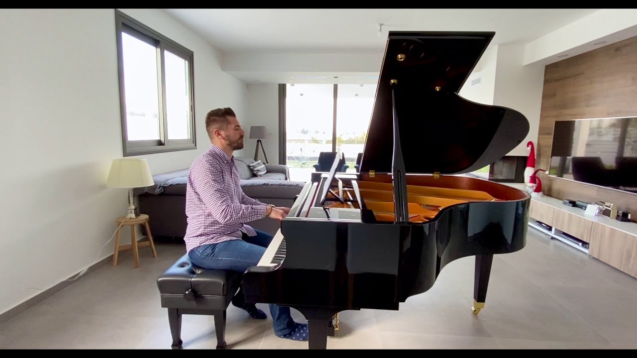 Ludwig Van Beethoven - Fur Elise