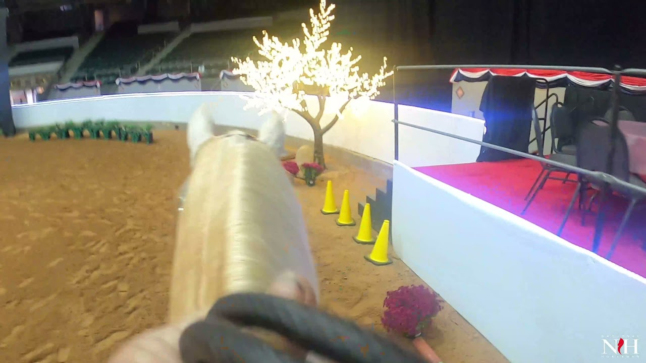 Angel Under Fire & Michael Damianos - Half-Arabian Western Trail Horse Open Championship 2021