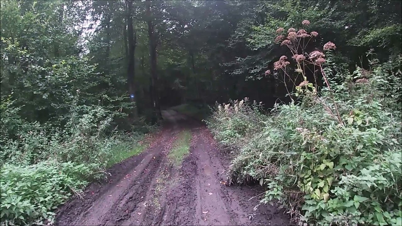 Wandern in Lippe: #29 | Beckerberg in Barntrup