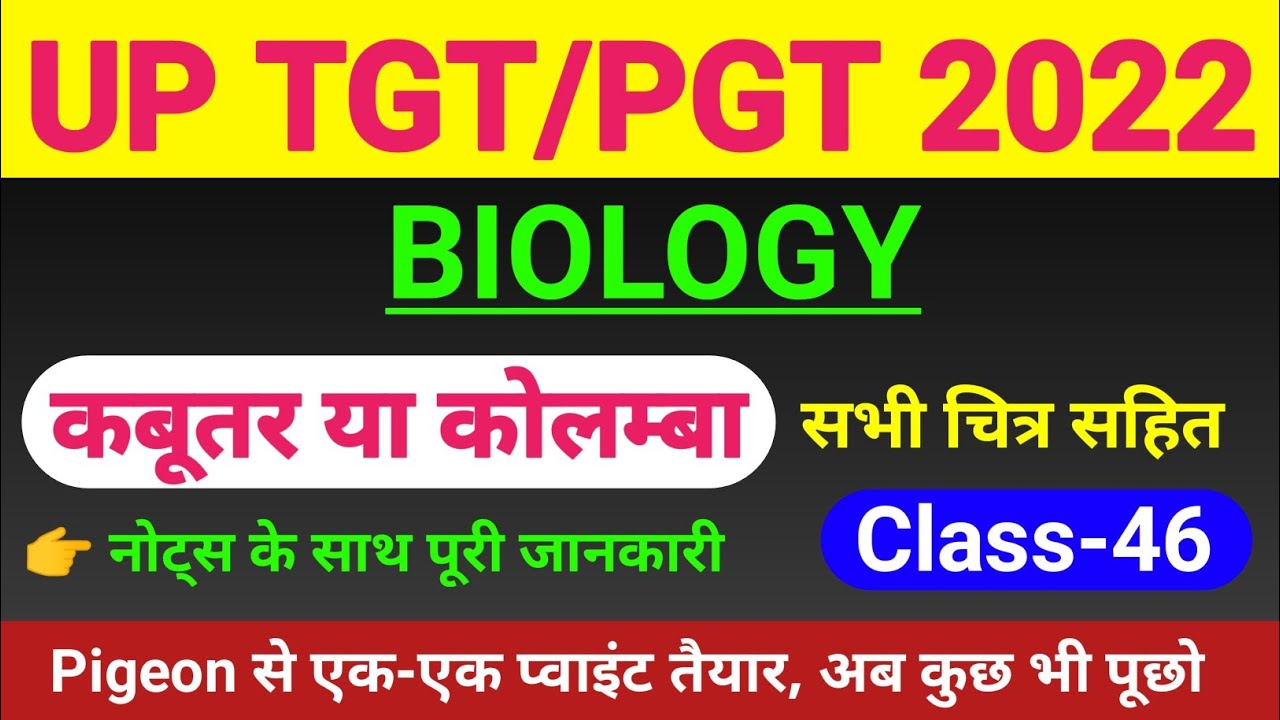 TGT/PGT BIOLOGY | CLASS- 46 | tgt pgt biology classes | Pigeon/columba livia morphology and anatomy