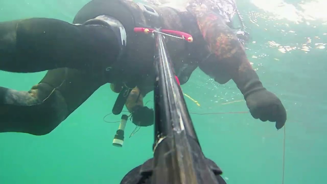 Salida Pesca Sub - Portichol - Javea