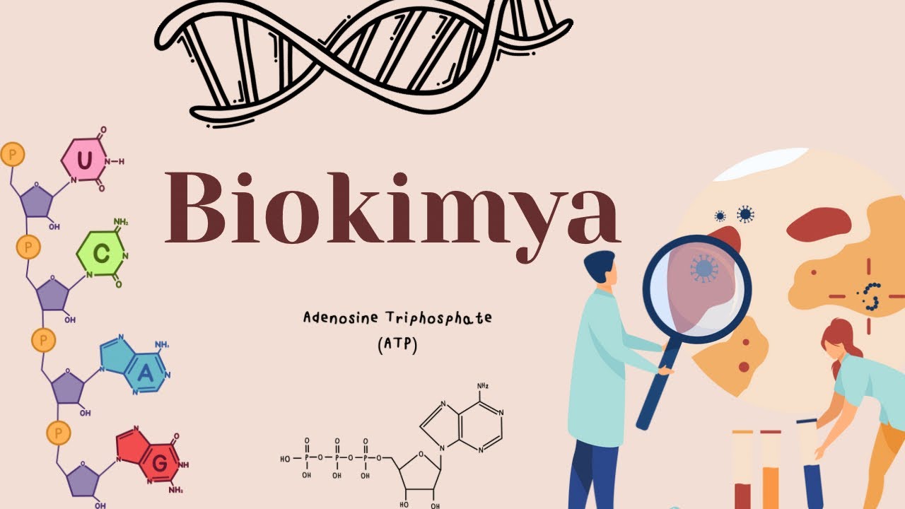 Biokimya: Hüceyrənin Üzvi və Qeyri-Üzvi Tərkibi 2ci hissə | Test Toplusu İzahı | DİM