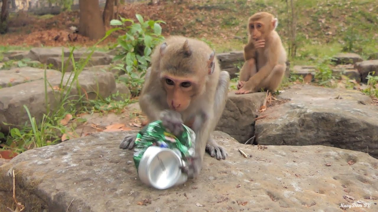 Laugh Out Loud with Dawn (Shakia) in Action - What's She Up To?