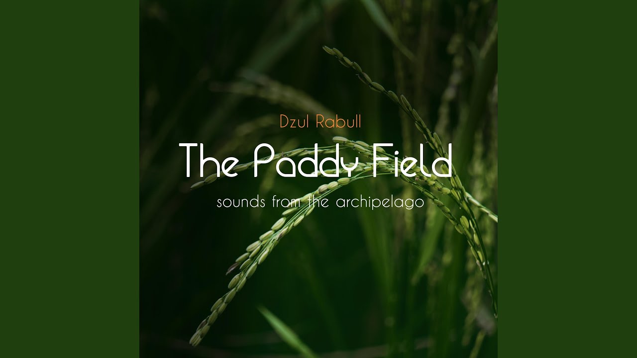 The Paddy Field