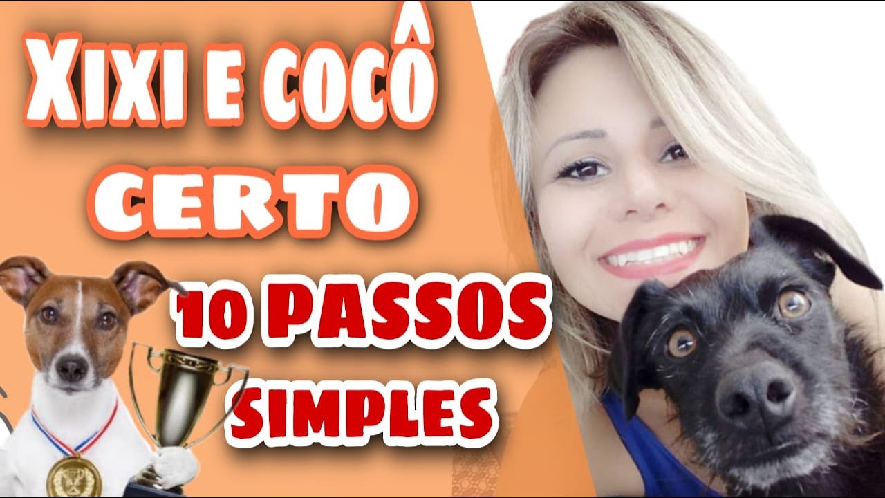 Como ensinar o cachorro a fazer xixi e cocô no lugar certo em 10 PASSOS SIMPLES.