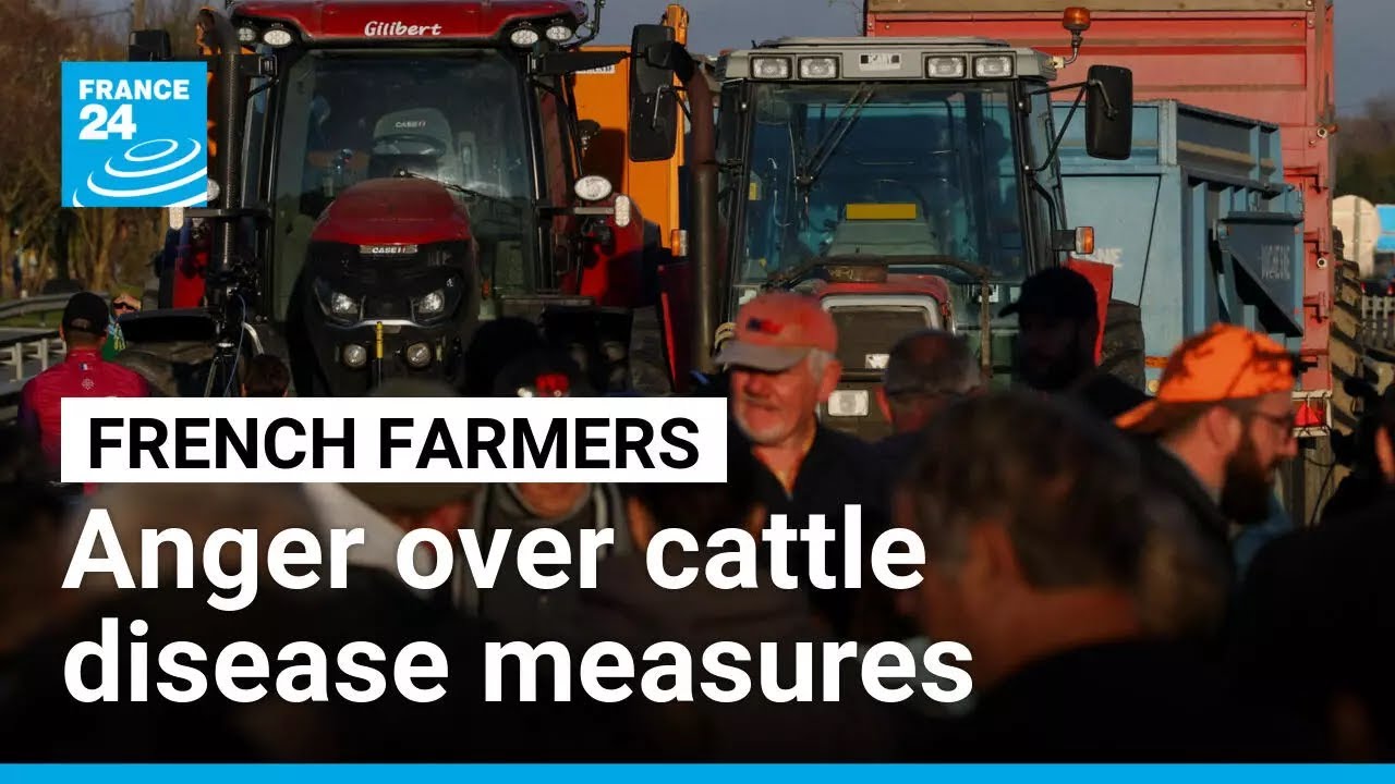 French farmers protest tough government measures to contain cattle disease outbreak &bull; FRANCE 24