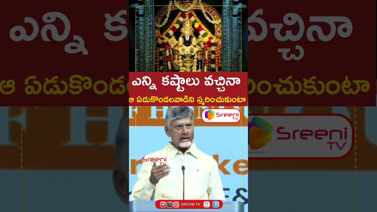 Nara Chandra Babu Naidu gaaru On Lord VenkateswaraSwamy #narachandrababunaidu #venkateshwaraswamy