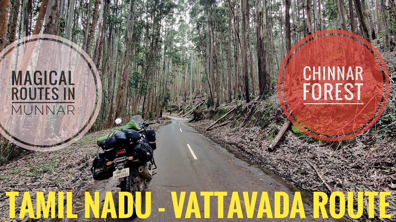 Tamilnadu - Munnar route| Anamalai Tiger reserve| Munnar Top Station| vattavada