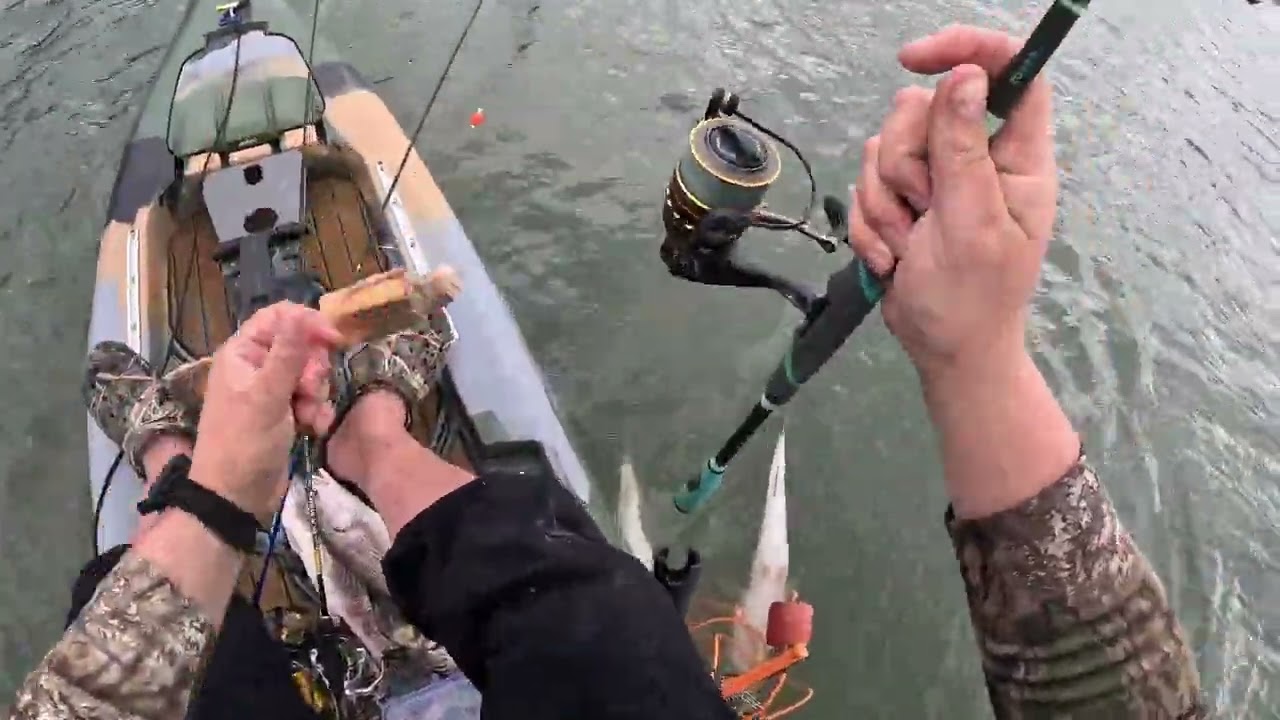 Virginia Beach Rudee inlet Red drum fishing