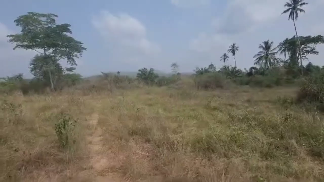 Ghana Farmland for Sale in the Eastern Region