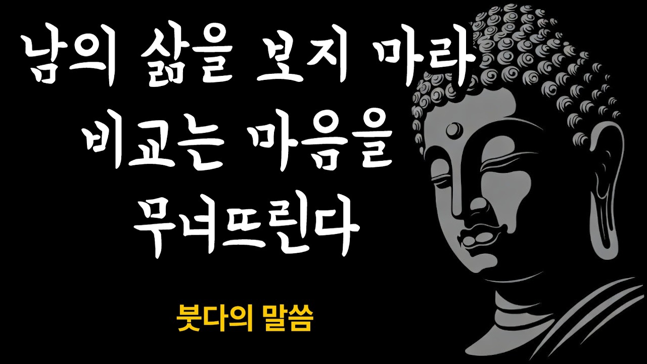 비교하다가내 삶을 잃어버렸다│ 붓다의 길 │ 20분