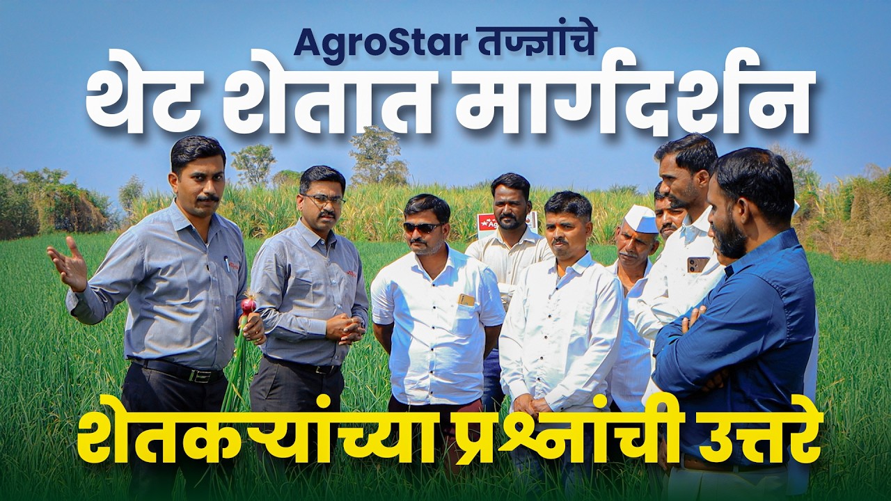 AgroStar तज्ज्ञांचे थेट शेतात मार्गदर्शन | शेतकऱ्यांच्या अडचणींवर उपाय | Kanda lagwad | #onion