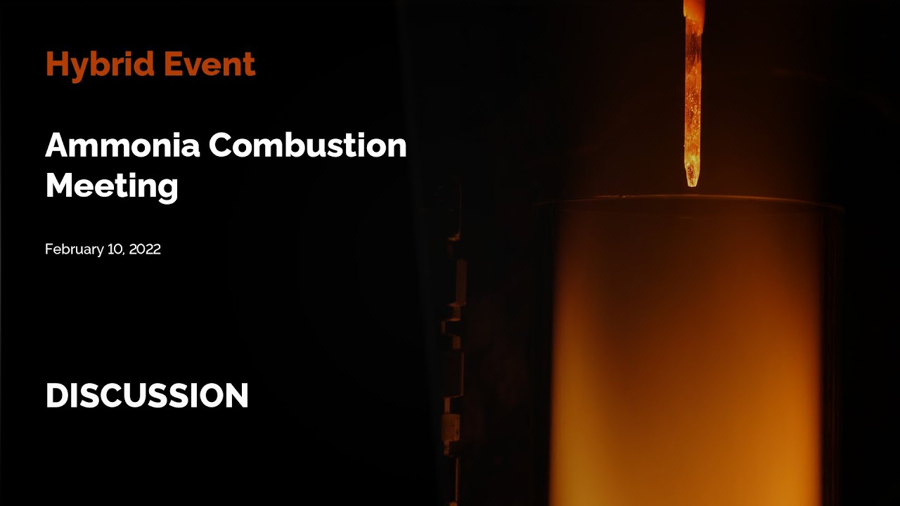 Ammonia Combustion Meeting, 2022 | Discussion