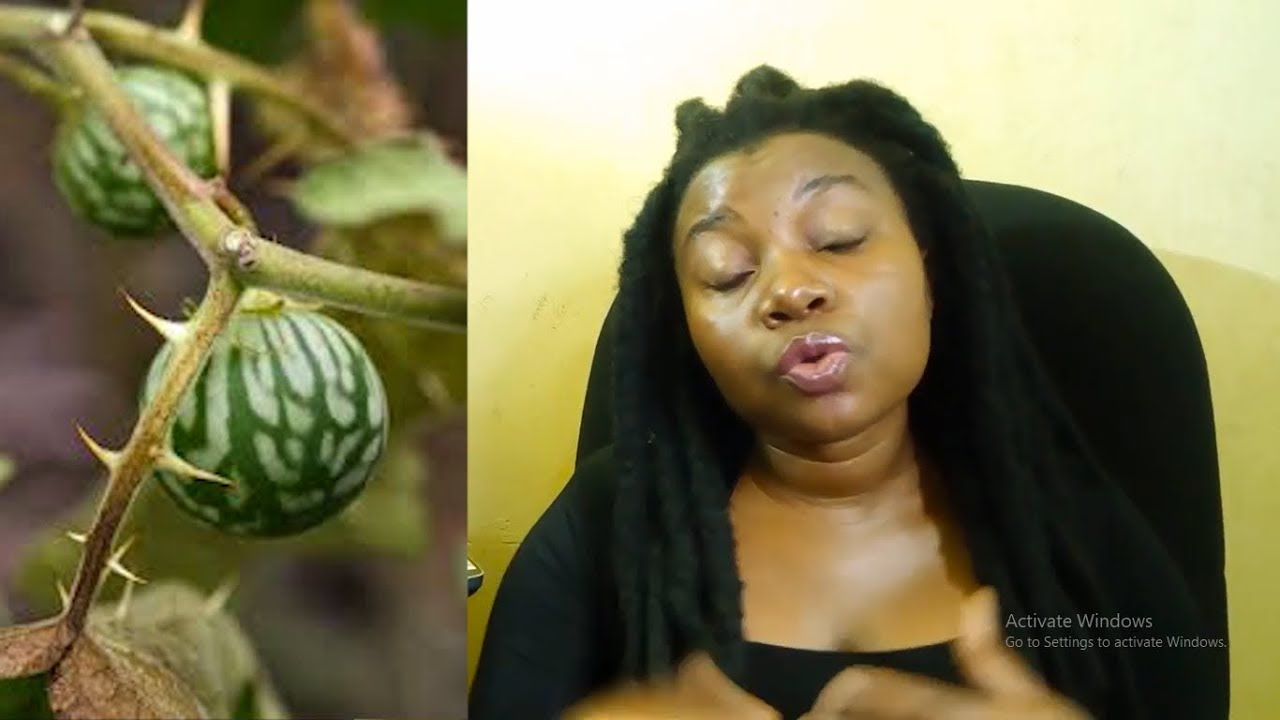 EMBOLO ETAKOLA KUZINA EMANA EDDAGALA