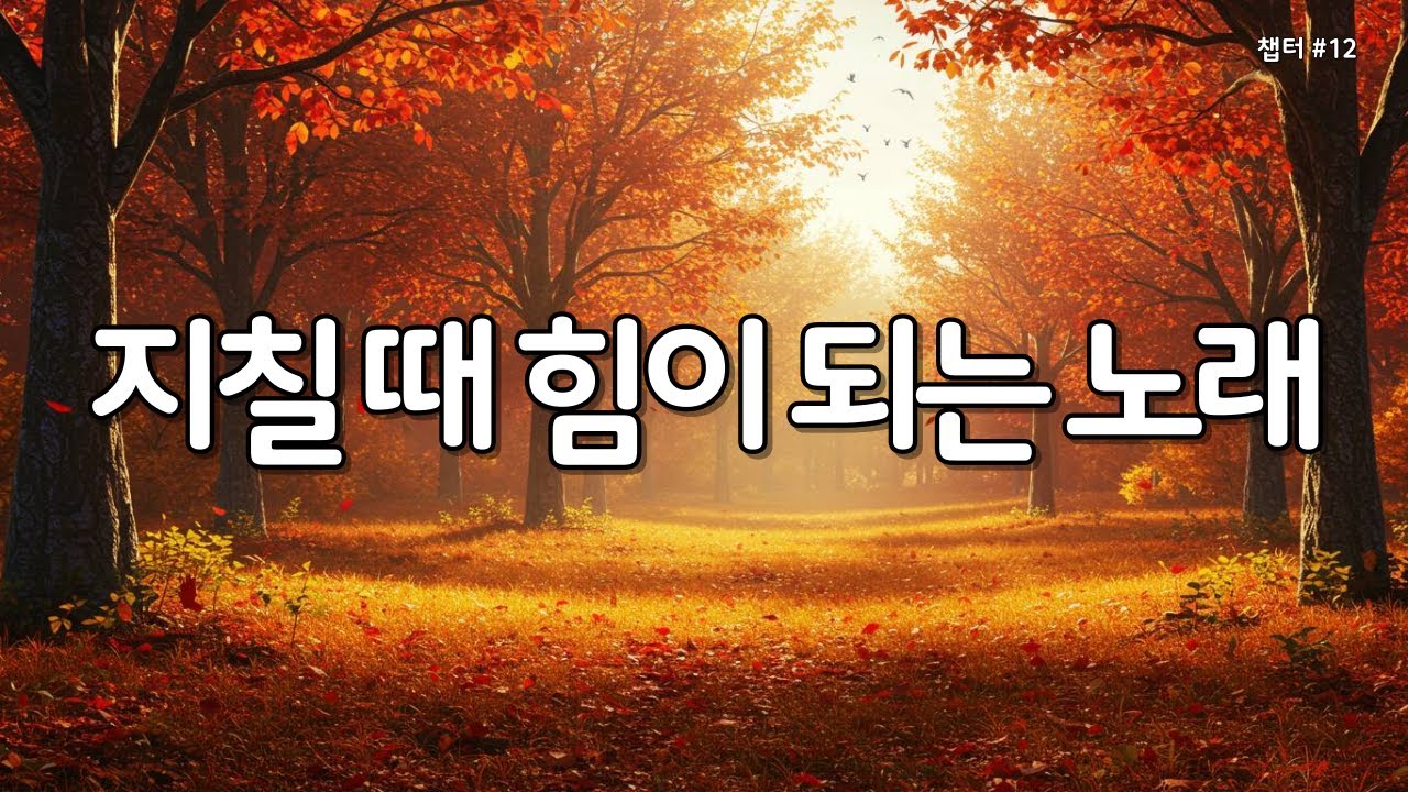 마음이 지칠때 그냥 틀어놓으세요 | 은혜의찬양 12 #감사찬양 #찬양 #은혜찬양 #찬양연속듣기 #찬양모음 #성경읽어주는누나 #WorshipMusic #gospelsong