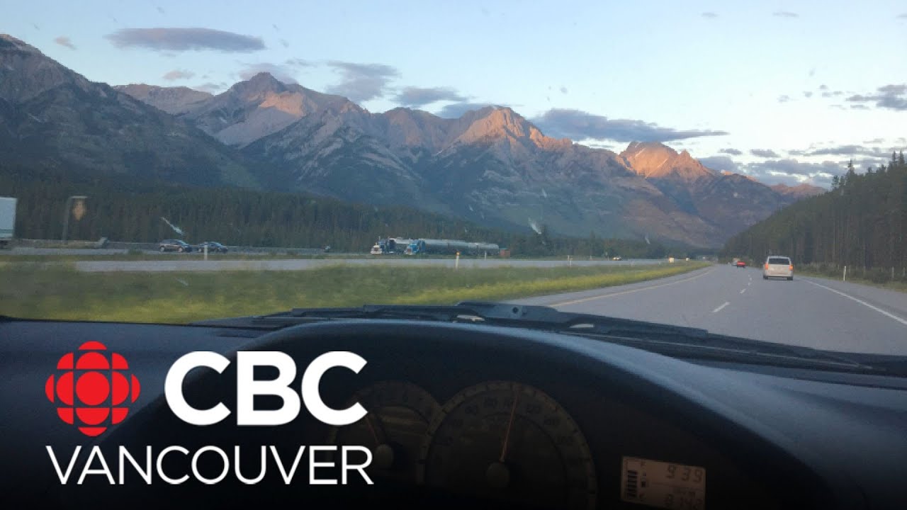 Border-city Albertan says migration stats are no surprise &mdash; because he's seeing more B.C. plates