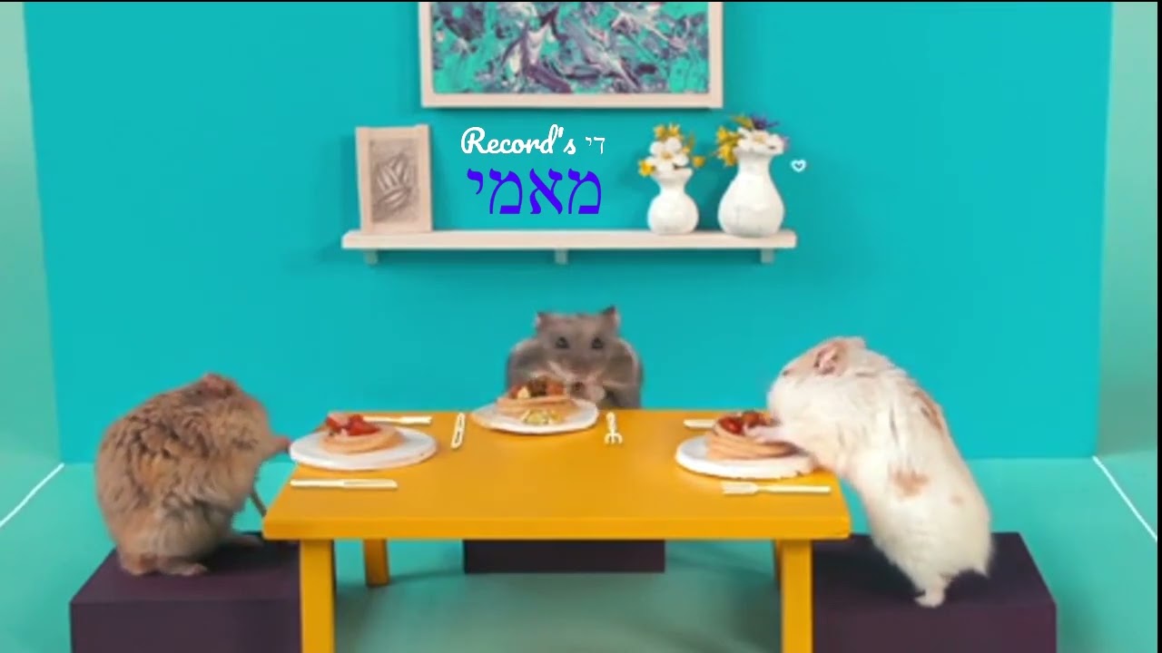 מאמי