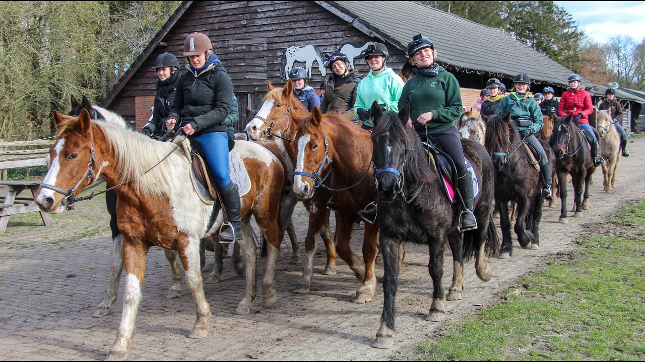 Rc Het Fjordenpaard Voorjaarsweekendje 2023