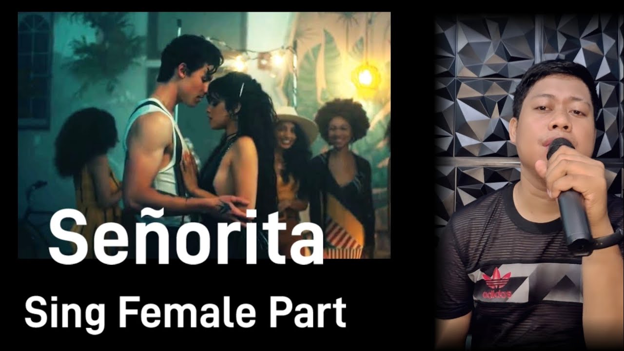 Señorita - Camila Cabello and Shawn Mendes |Karaoke| Male Part Only